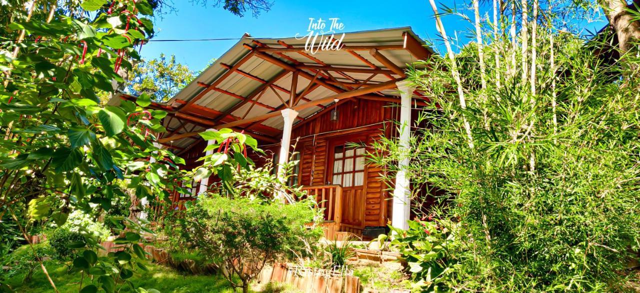 Little Folly Hotel Ella Exterior photo